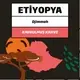 Brezilya Rio Minas Elek 17/18 NY2/3 Arabica AÇIK Kavrulmuş Kahve