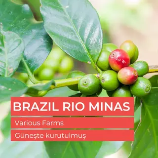 Brazil Rio Minas Çiğ Yeşil Kahve Çekirdek 1kg