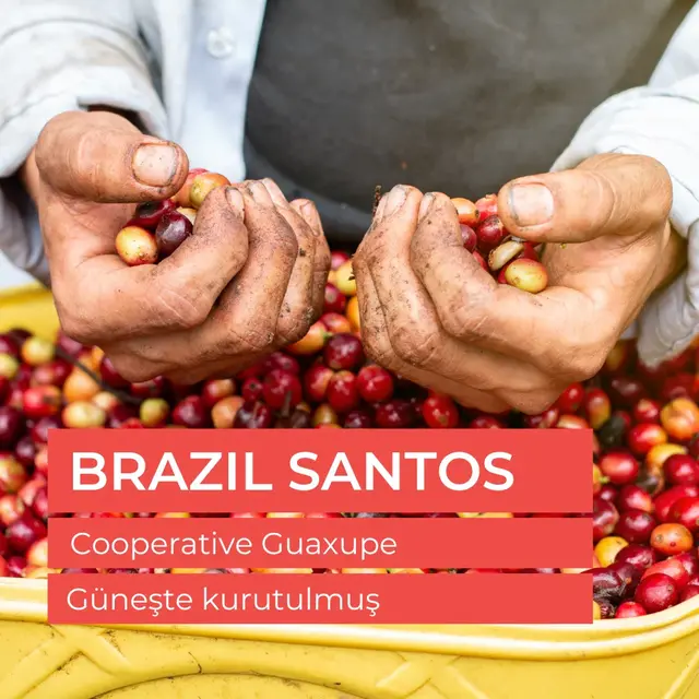 Brazil Santos Fine Cup Çiğ Yeşil Çekirdek 1kg