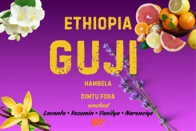 Ethiopia Guji