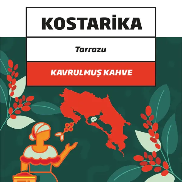 Kostarika Tarazzu – Kavrulmuş Filtre