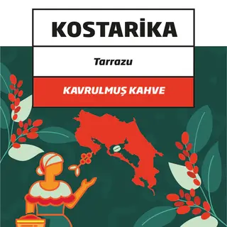 Kostarika Tarazzu – Kavrulmuş Filtre