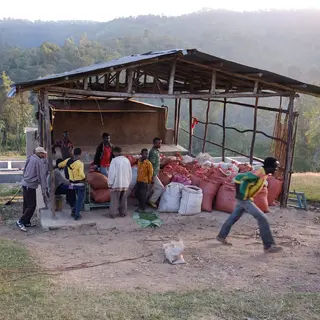 Uraga - Carbonic Maceration - Natural - Ethiopia - 2025