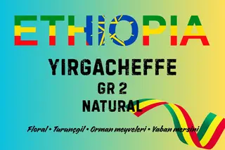 Ethiopia Yirgacheffe