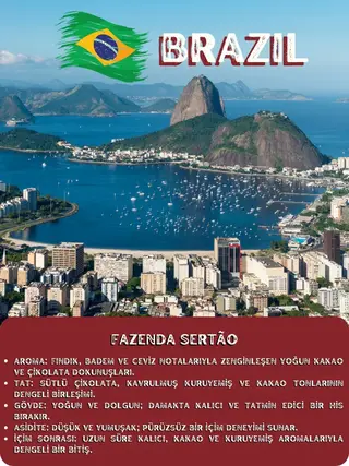 Brezilya Fazenda Sertão Single Origin Çekirdek Kahve (SO-BFS-CX)