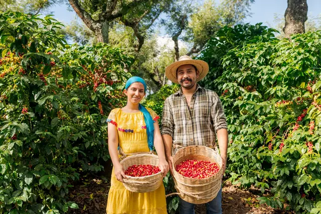 Colombia La Manuela (Espresso - Filtre)
