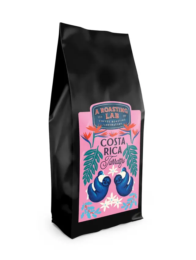 Kosta Rika Filtre Kahve 250g
