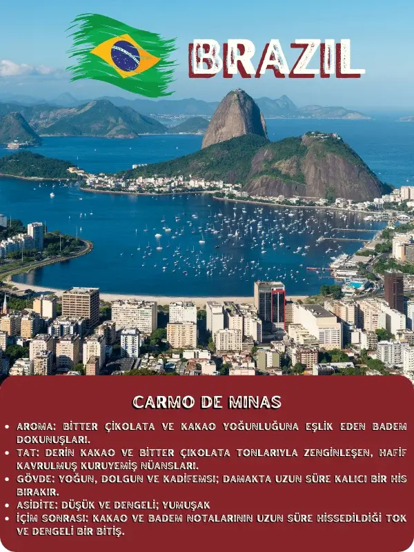 Brezilya Carmo de Minas Single Origin Çekirdek Kahve (SO-CDM-RB/250)